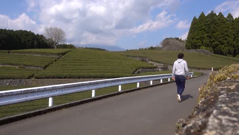 male solo tourist walking through road next to green tea fields in japan