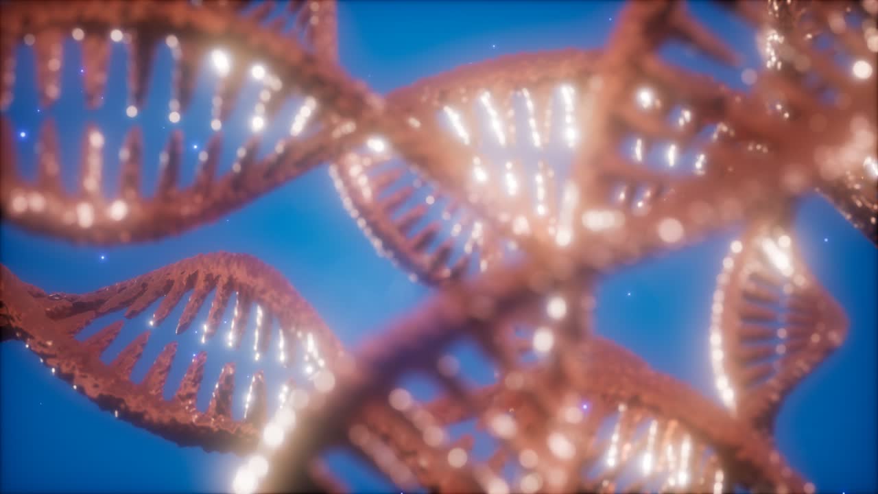 structure of the DNA double helix animation