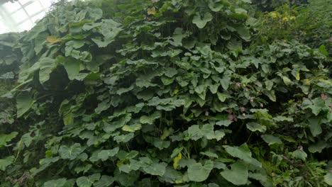tiro inclinado de hojas a plataformas jardines del bosque nuboso junto a la bahía de singapur