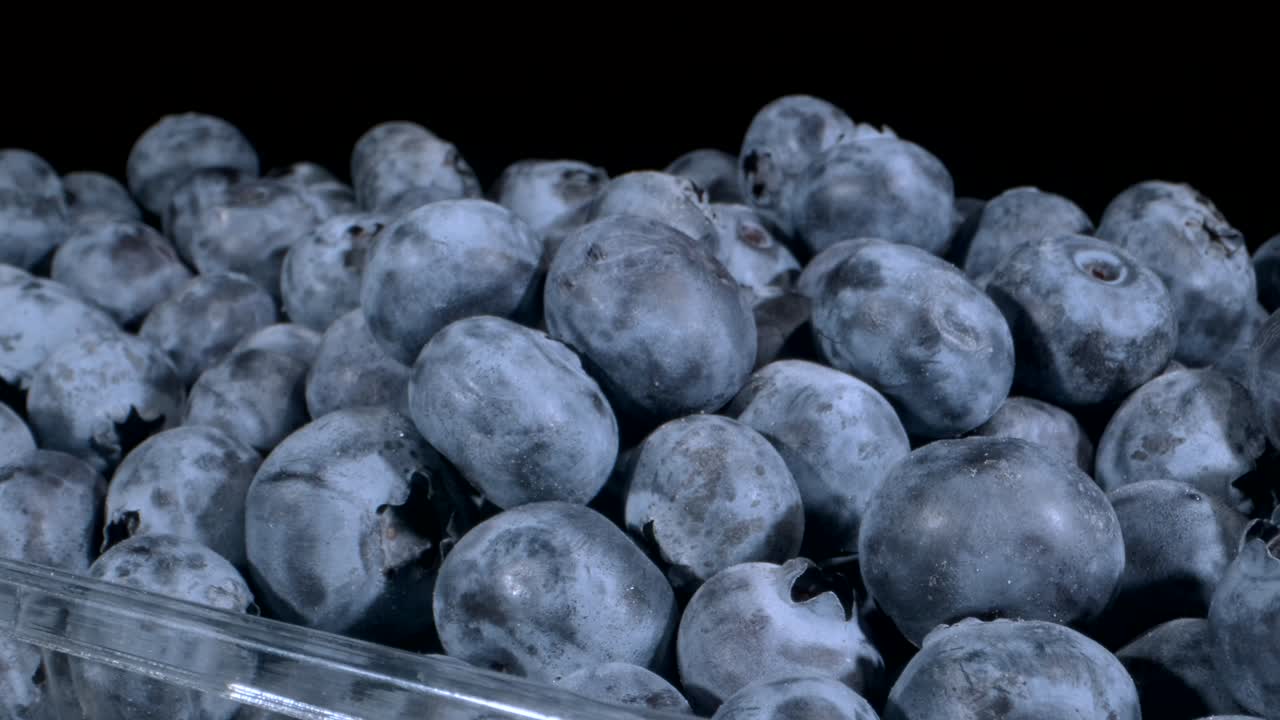 흑색 바탕의 일회용 플라스틱 식품 패키지에 담긴 신선한 블루베리, 클로즈업, 카메라 회전 360도, 유럽 블루버리, 일반 빌베리 또는 블루 워틀베리 (vaccinium myrtilius)