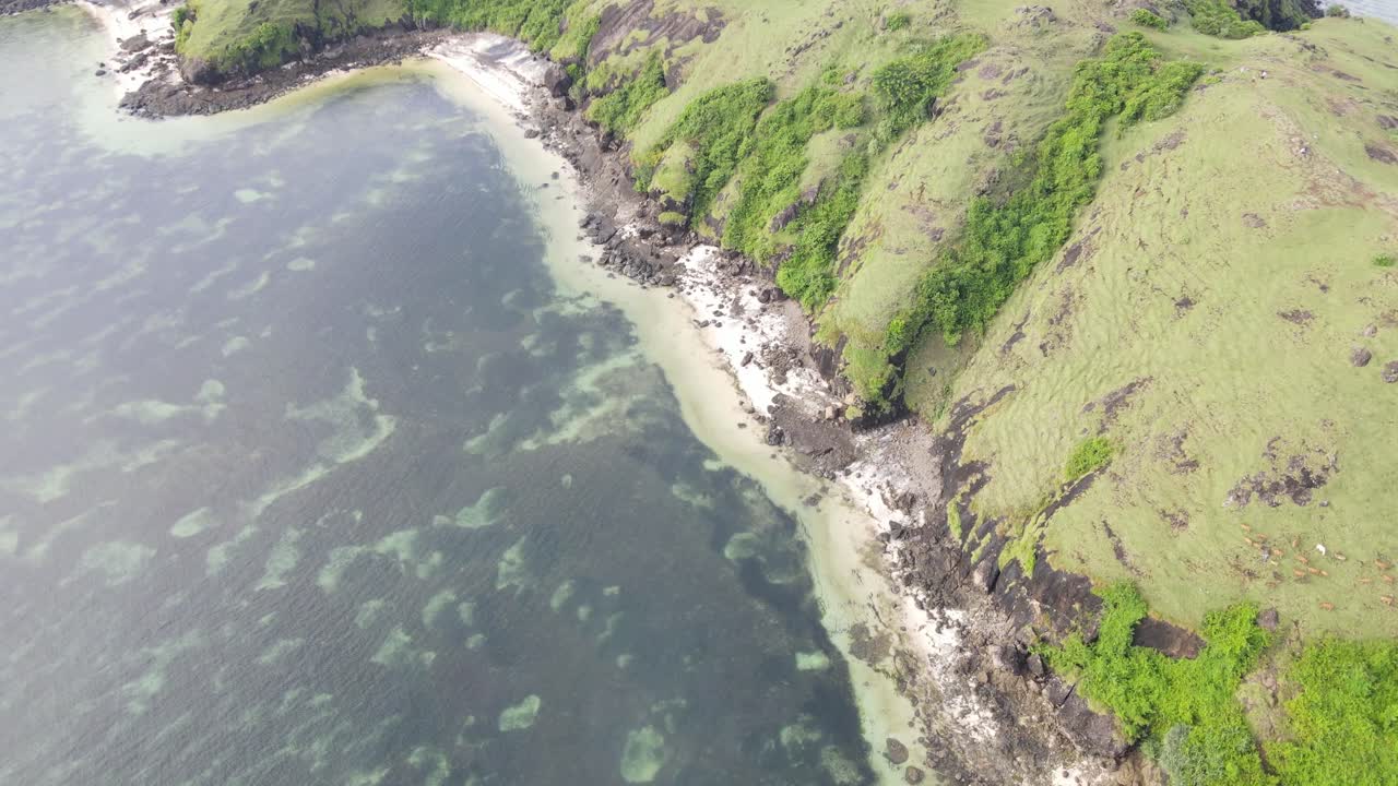 Pemandangan Udara Pesisir Tropis dengan Perbukitan Hijau dan Air Jernih