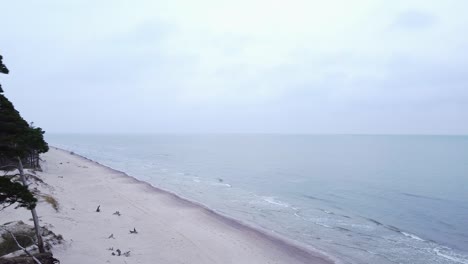 aerial view of baltic sea coastline at bernati beach in latvia, flying left near tight coastal pines at the white sand beach, sea erosion affected coastline, wide angle revealing drone dolly shot left