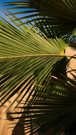 oasis desértico con palmeras y agua