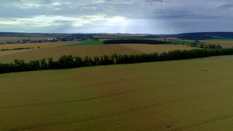 Vista-Aérea-De-Drones-Del-Laberinto-Del-Campo-De-Maíz