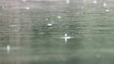 raindrops falling on the pond