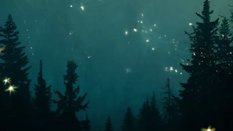bosque encantado por la noche