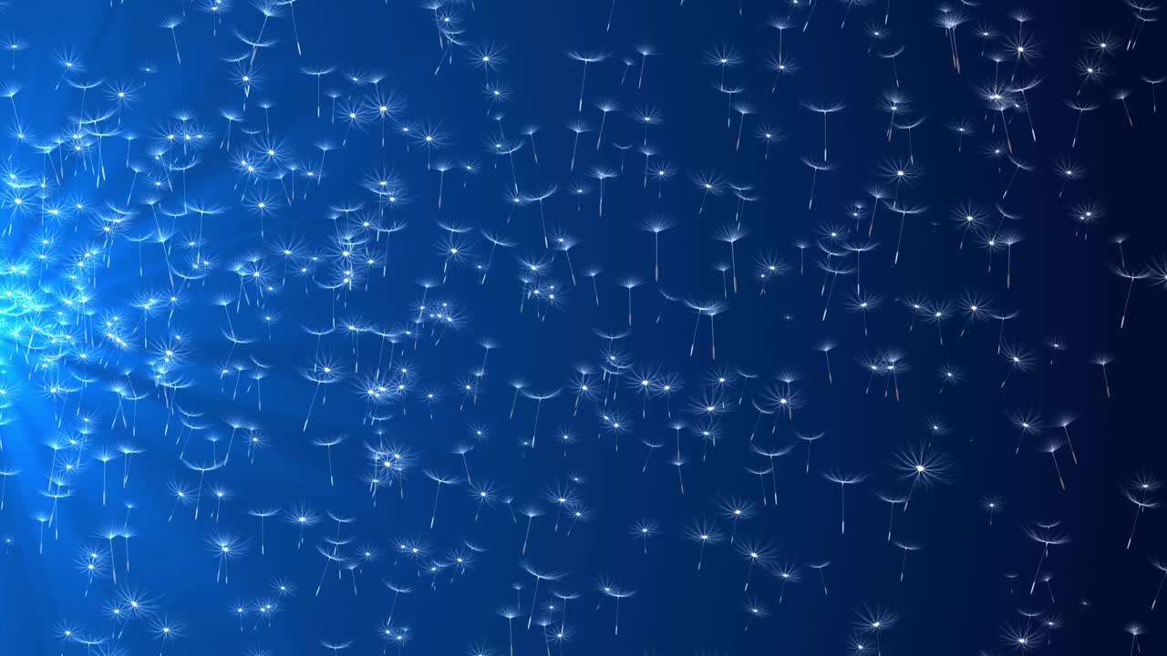 반불꽃 씨과 꽃가루 먼지 녹색 스크린 루프 배경, 반불 자연 배경