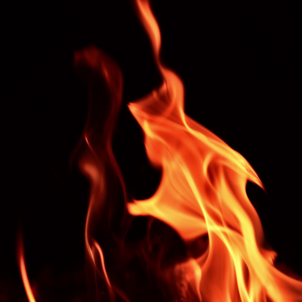 Fire flames rising diagonally in the air. Bonfire burning isolated at black backdrop