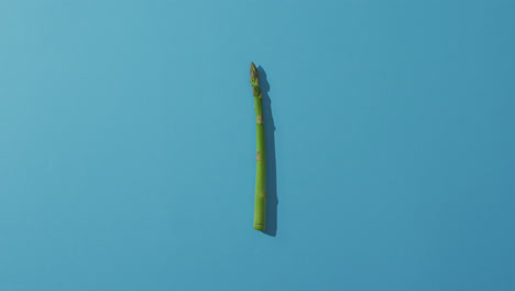 video of fresh asparagus with copy space over blue background