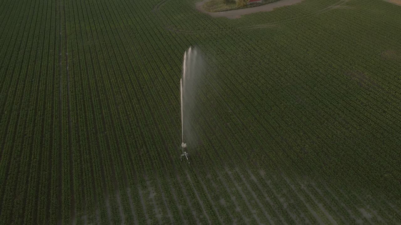 aspersor de riego de campo rociando agua sobre el campo