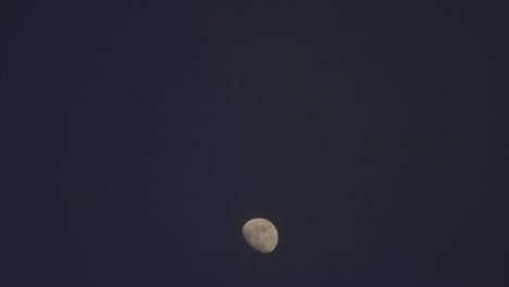 slow motion video of crows flying after sunset in front of the moon