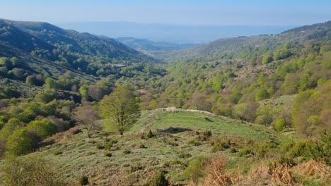 scenic view over the lush, green mountains near lailias in serres, northern greece. blooming spring vegetation and endless horizon under a clear blue sky