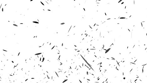 gráficos de movimiento de partículas en vuelo de pluma negra