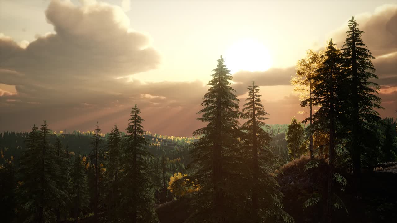 bosque de verano en el paisaje montañoso