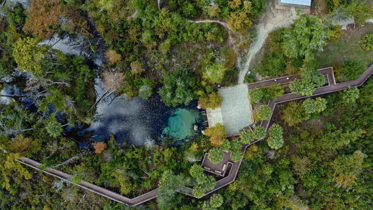 Reveals a bright blue spring pool set within dense forest near Pitt and Sylvan Springs, Florida, framed by winding wooden pathways, foliage, and sandy trails leading into lush vegetation