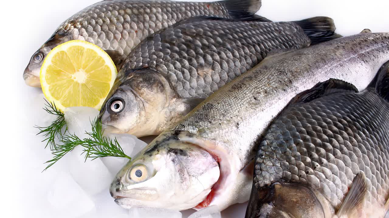 Marisco en la pescadería