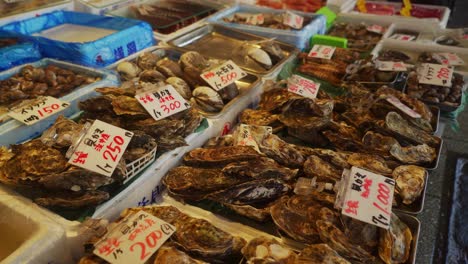 oysters display in the market with price tag on top of it