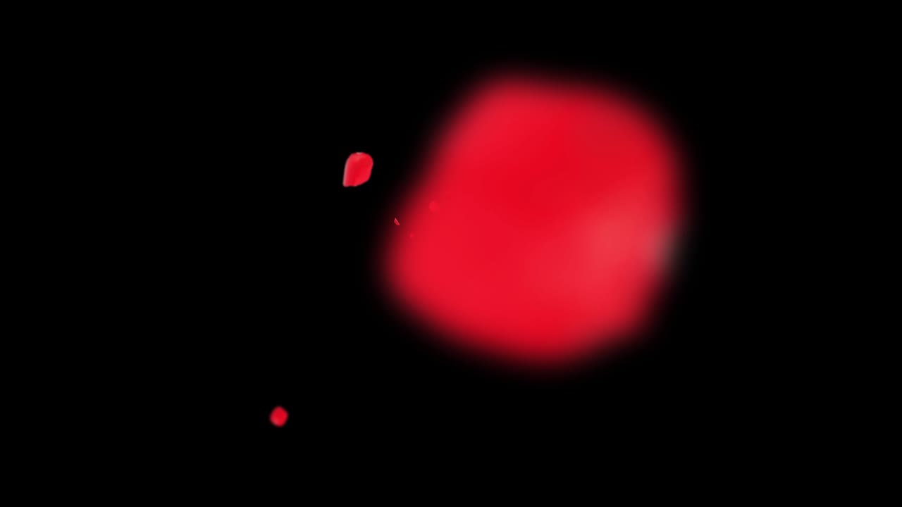 ローズ・ペタル 赤い桜の花 雪の嵐 緑の背景のループ