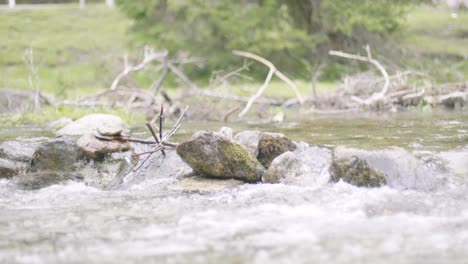 Relaxing-footage-of-clear-brook-water-streaming-down-a-beautiful-gorge-in-austria-with-many-stones-and-in-and-besides-the-water