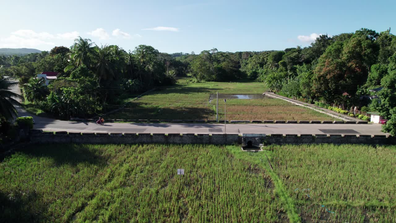 Road Traffic and Rice Fields in Landscape of Tropical Island, Drone Aerial View