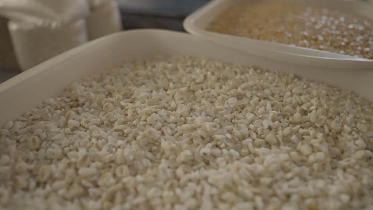 다양한 색상의 옥수수 알갱이