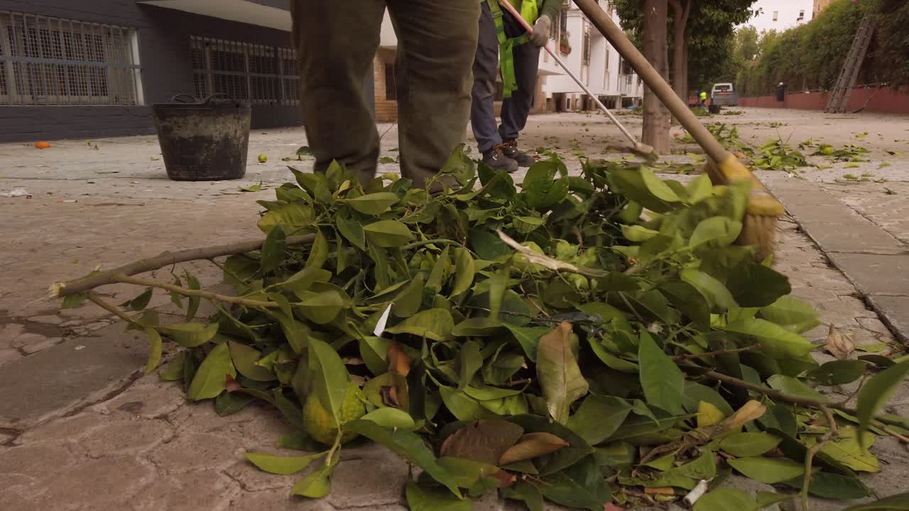 los hombres barren las hojas verdes en una pila con escoba en la acera, cierran a cámara lenta