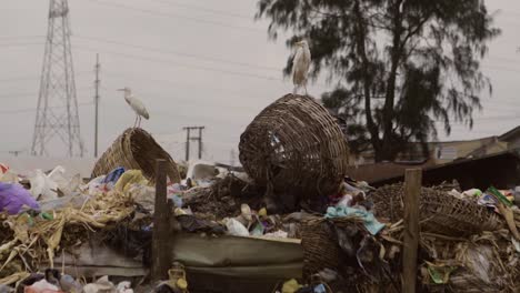 pila de basura nigeria