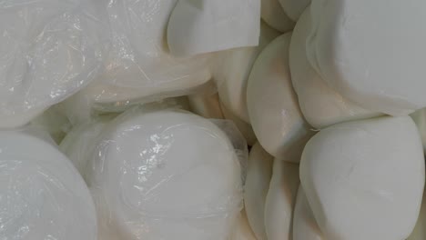 fresh mozzarella cheese in bulk