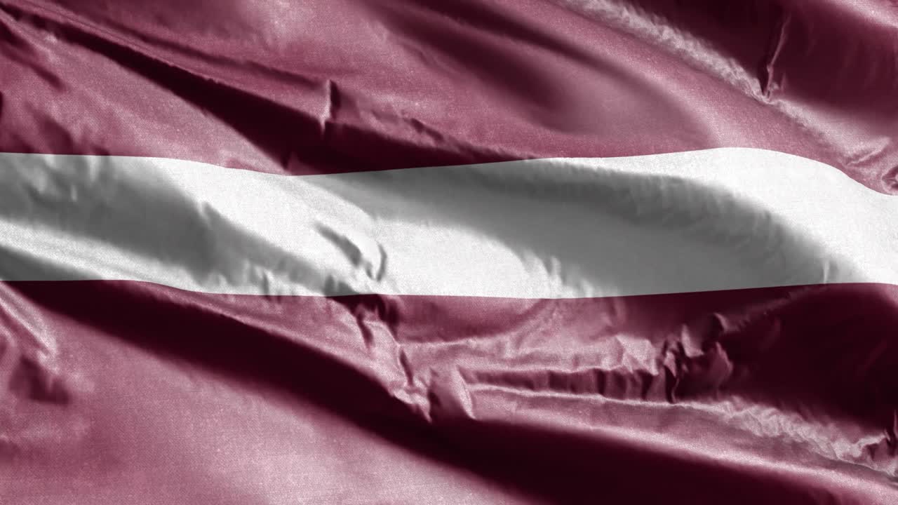 라트비아의 섬유 발은 바람의 순환에 천천히 흔들리고 라트비아 발이 부드럽게 바람에 흔들리고 섬유 섬유 조직은 완전히 채우는 배경 20 초 순환.