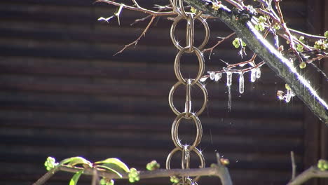 wasser aus schmelzendem schnee tropft die japanische regenkette hinunter und bildet eiszapfen auf ästen