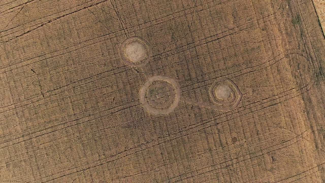 misteriosos signos geométricos místicos en el medio de un campo de trigo. ufo dejó huellas en el campo. imágenes aéreas en 4k