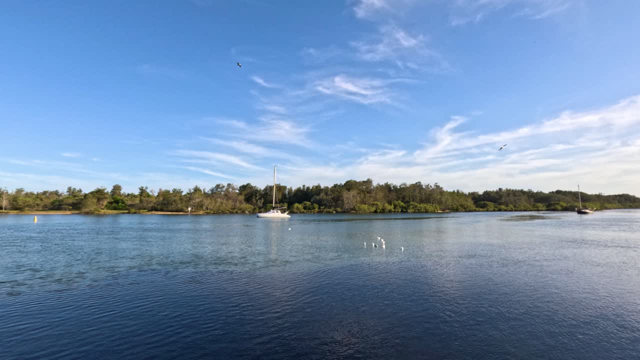 gaviotas volando sobre el lago cerca del barco