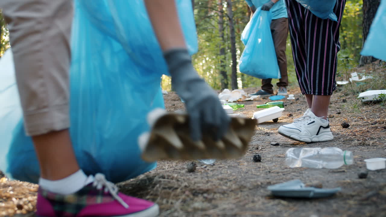 Community Volunteers Cleaning Up a Forest