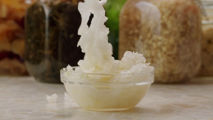Tremella fermented salted Jamur salju or snow fungus, white colored fungi for food and medicine, popular in China and also Chinese cuisine.