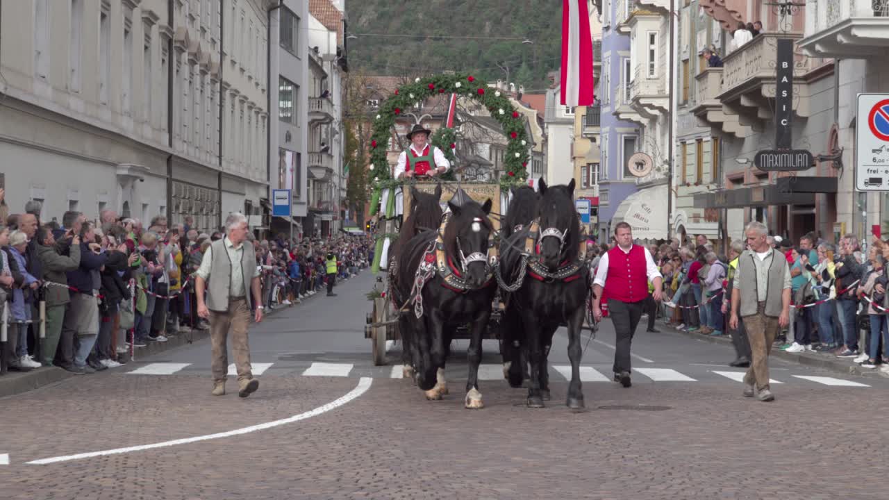 Horse-drawn carriage of the Forst brewery during the grape festival parade in Meran - Merano, South Tyrol, Italy (part 1 of 2)