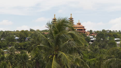 buddhist temple and palm trees, aerial cinematic view