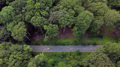 Coches-Que-Pasan-Por-Una-Carretera-Que-Atraviesa-Un-Bosque-En-Worcestershire,-Inglaterra