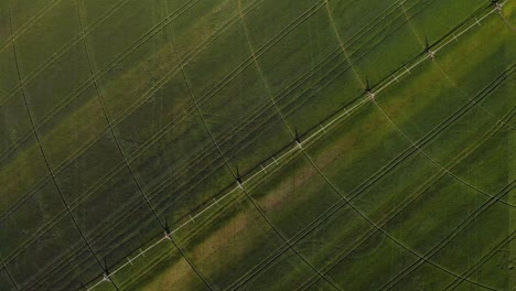 agriculture aerial view on circular crop irrigation