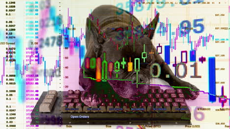 perro hacker acostado con un teclado hacking, imágenes de estudio