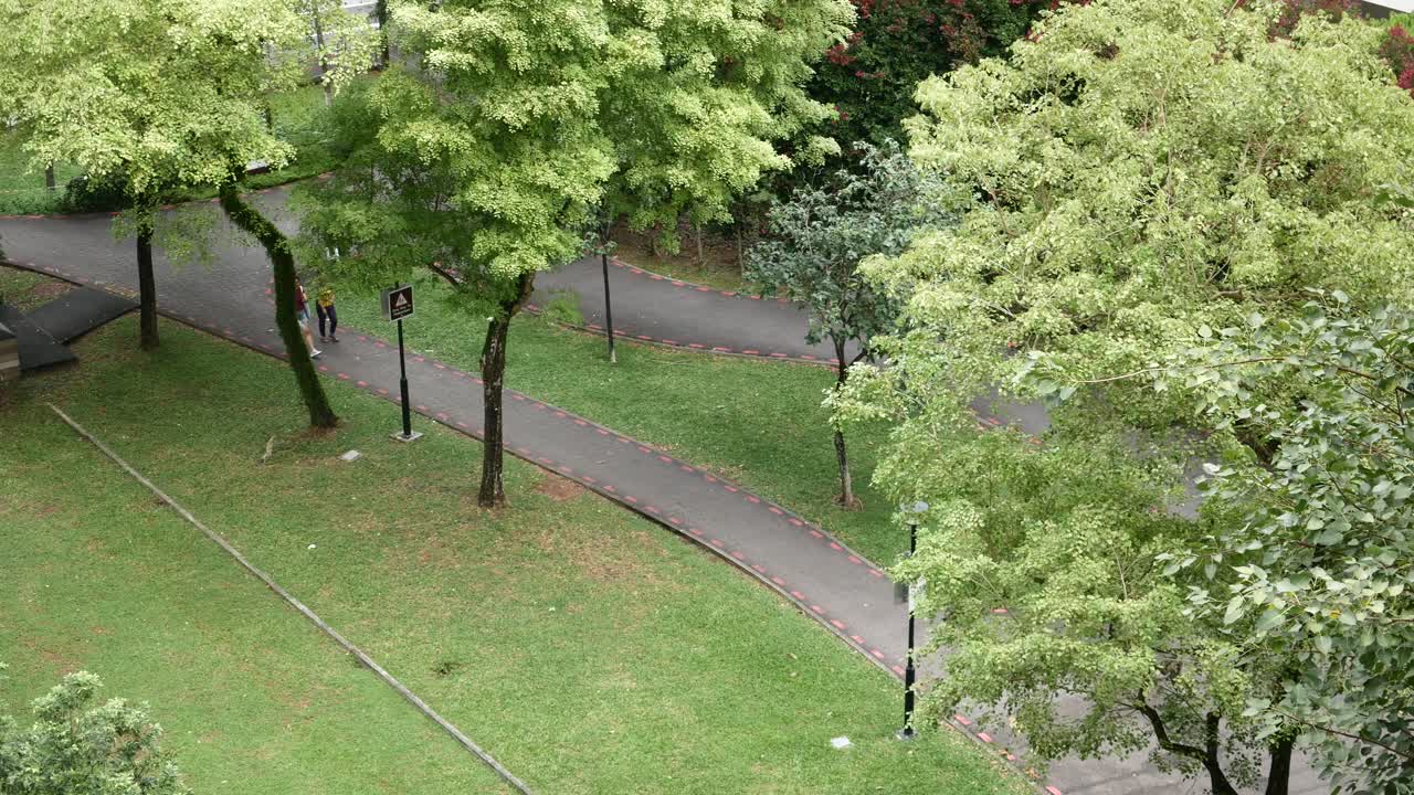 una pareja caminando por un camino en un parque verde exuberante