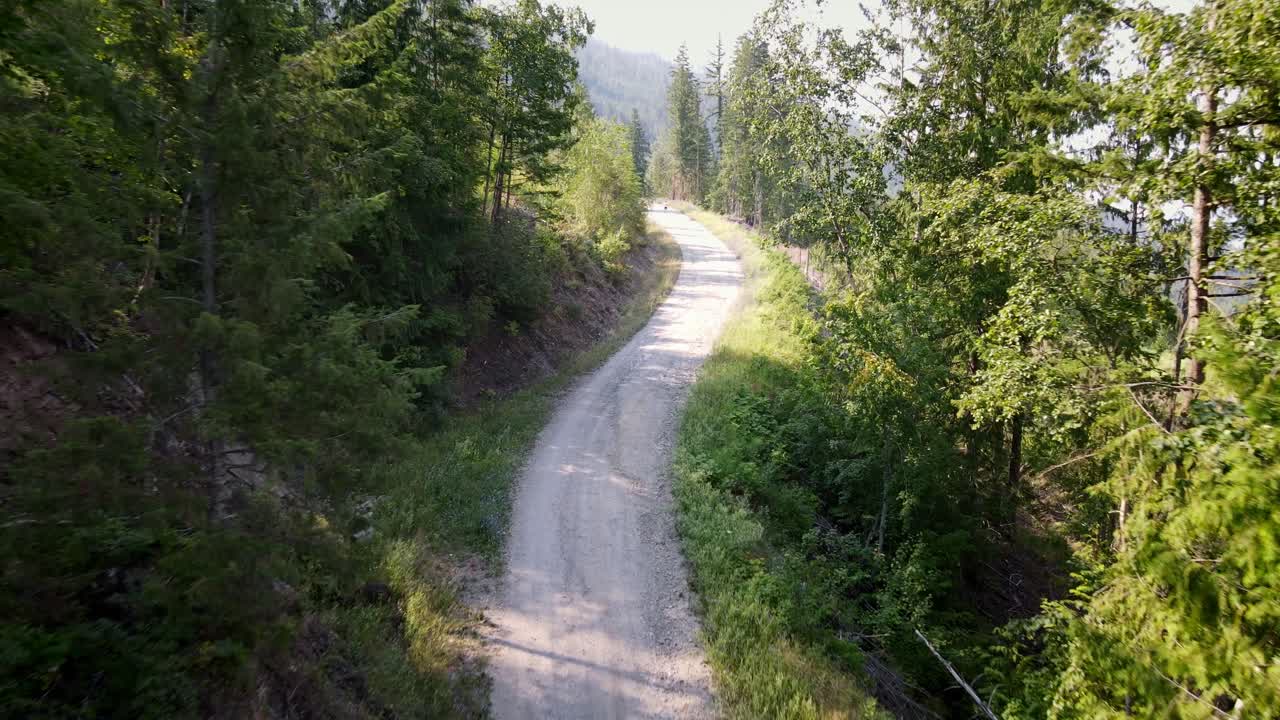 camino forestal vacío que conduce a la ladera de una montaña cubierta por un bosque mixto