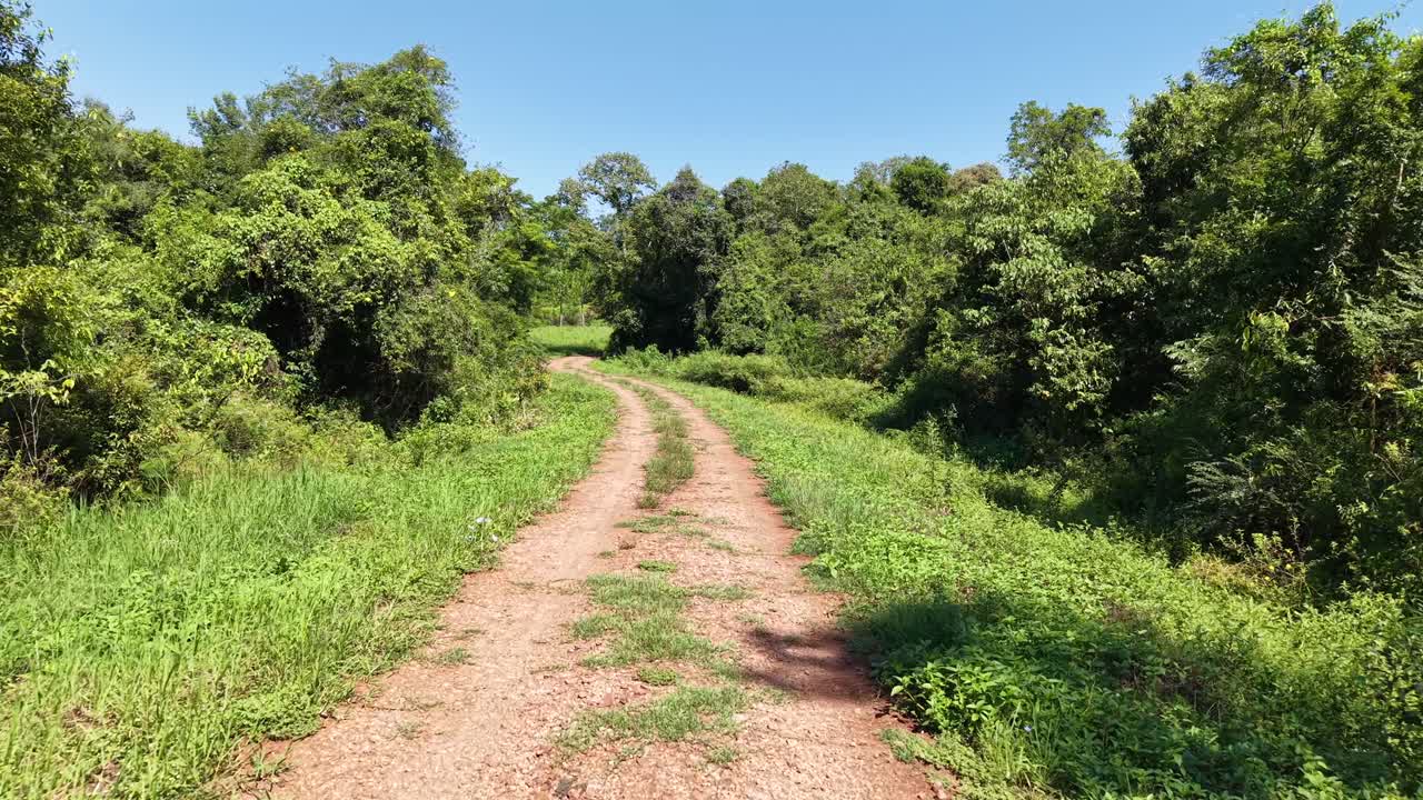 Entrance gate to private residence in Misiones, Argentina, with metal and wood design opening to a stone path into lush forest,l transitioning from architecture to subtropical nature, low drone glide