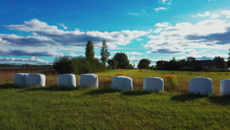 Reihe-Von-Silageballen-Auf-Grünem-Gras-An-Einem-Heißen-Sommertag-Mit-Blauem-Himmel-Und-Kumuluswolken