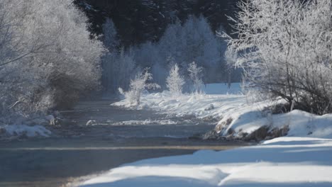 A narrow river flows gently through a snowy forest lined with frost-covered trees on a bright winter day.