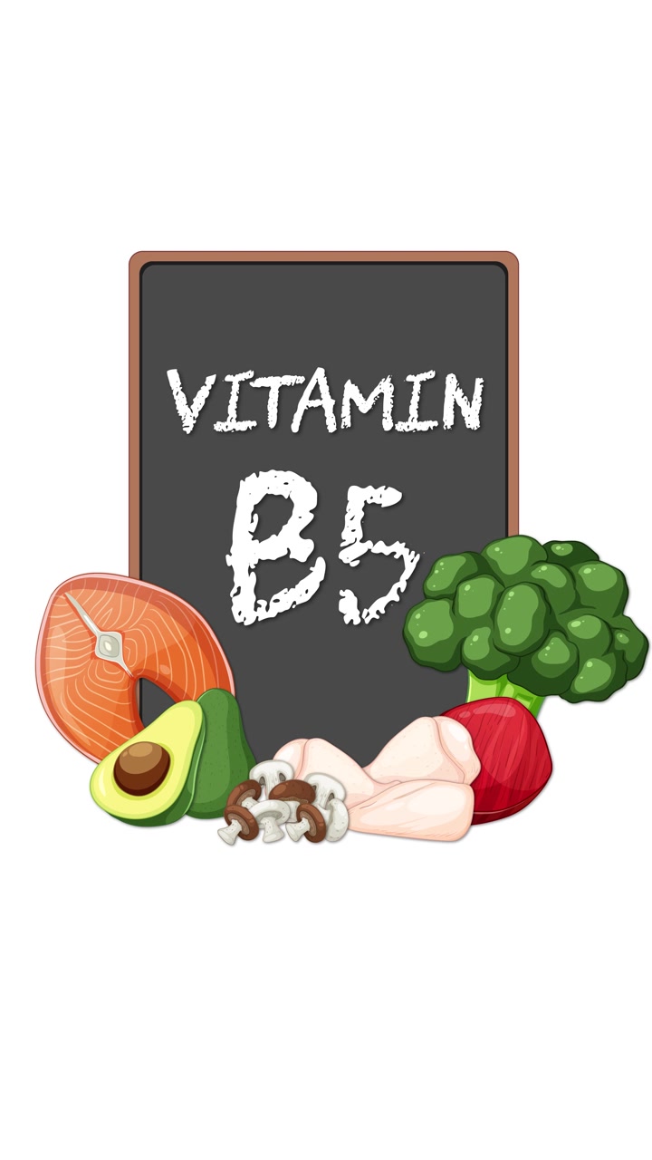 Lavagna etichettata "Vitamina B5" gradualmente circondata da illustrazioni di verdure, funghi, avocado e carne.
