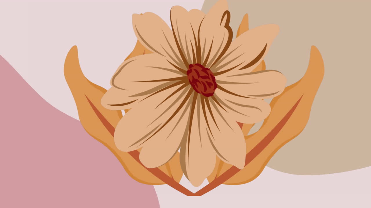 animación de una flor de naranja sobre un fondo gráfico rosado