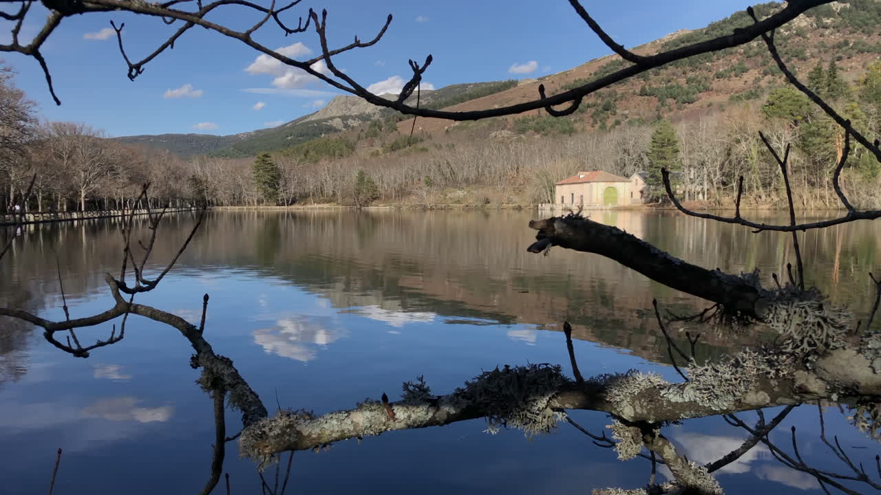 화창한 날의 호수 집