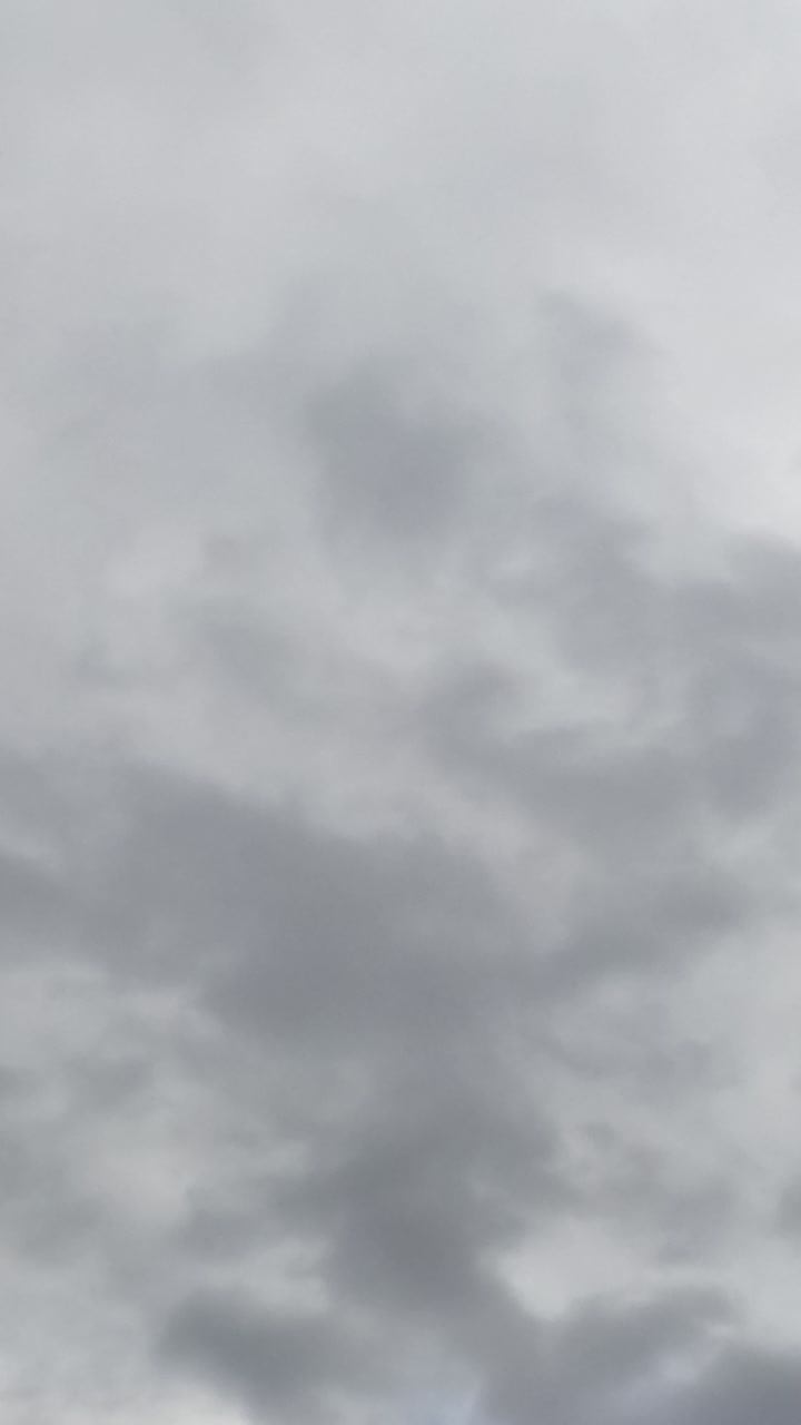 Skies can't be seen because of grey cloudscape coating the horizon. Low angle view. Timelapse. Vertical video