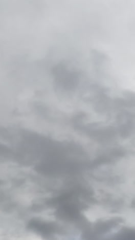 skies can't be seen because of grey cloudscape coating the horizon. low angle view. timelapse. vertical video
