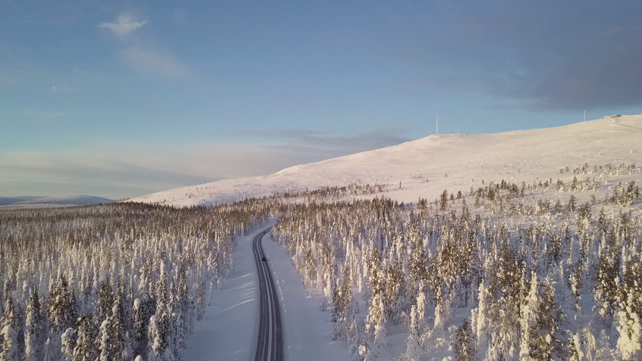 автомобиль едет по дороге посреди леса и дикой природы